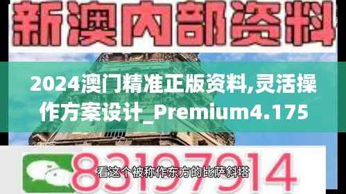 2024澳门精准正版资料,灵活操作方案设计_Premium4.175