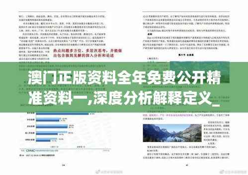 澳门正版资料全年免费公开精准资料一,深度分析解释定义_1080p8.886