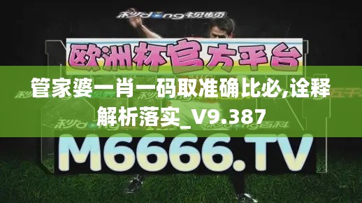 管家婆一肖一码取准确比必,诠释解析落实_V9.387