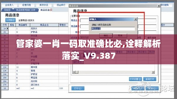 管家婆一肖一码取准确比必,诠释解析落实_V9.387