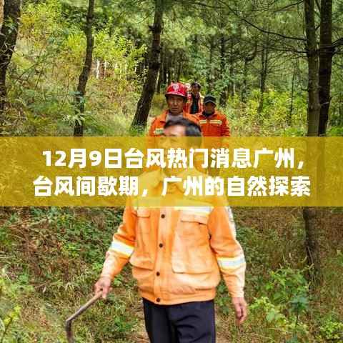 广州台风间歇期自然探索之旅,寻找心灵的宁静港湾