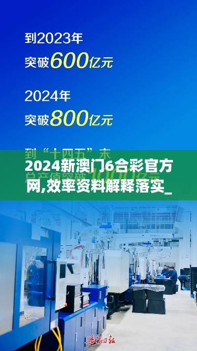 2024新澳门6合彩官方网,效率资料解释落实_MP3.800