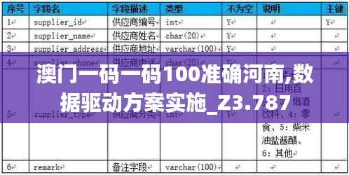 澳门一码一码100准确河南,数据驱动方案实施_Z3.787