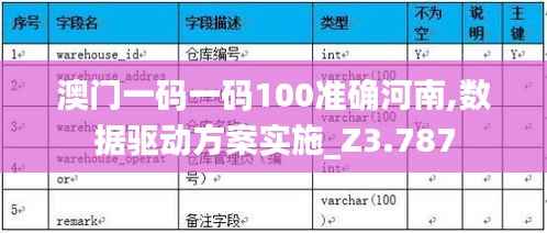 澳门一码一码100准确河南,数据驱动方案实施_Z3.787