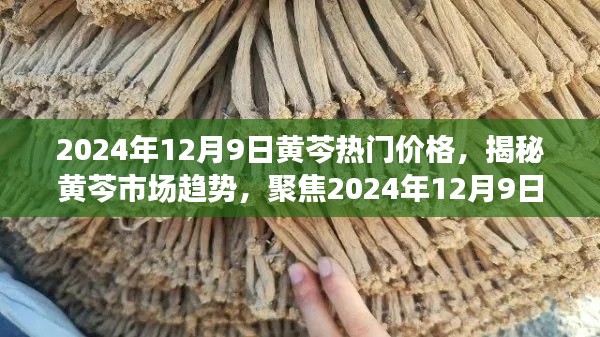 揭秘,2024年12月9日黄芩市场趋势及热门价格解析