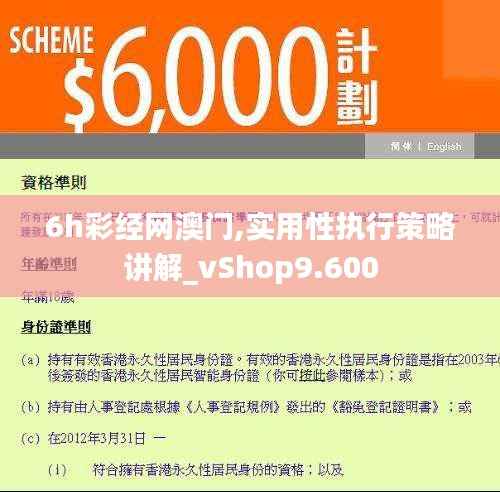 6h彩经网澳门,实用性执行策略讲解_vShop9.600