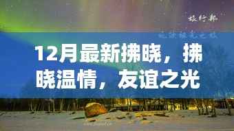 拂晓温情,友谊之光照亮冬日日常