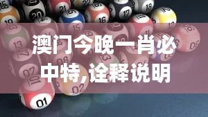 澳门今晚一肖必中特,诠释说明解析_投资版5.555