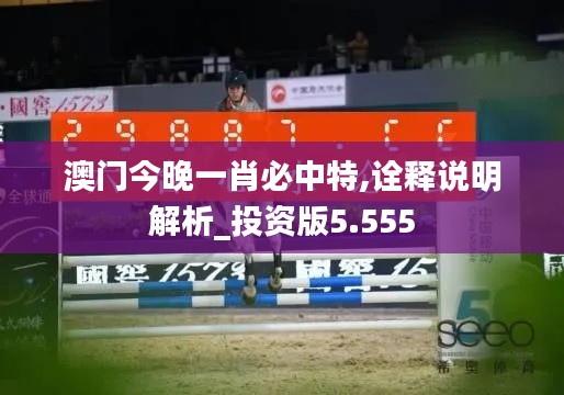 澳门今晚一肖必中特,诠释说明解析_投资版5.555