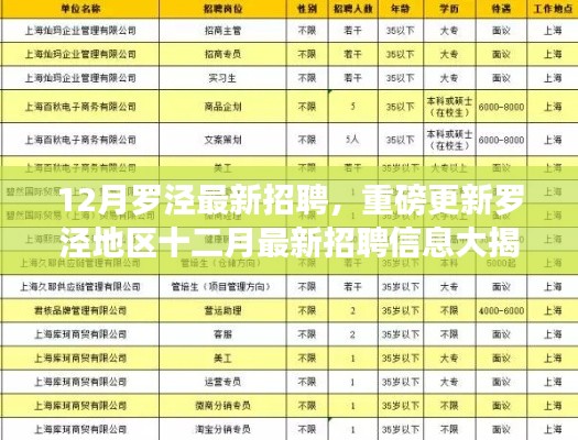 12月罗泾最新招聘,重磅更新罗泾地区十二月最新招聘信息大揭秘,优质职位等你来挑战!
