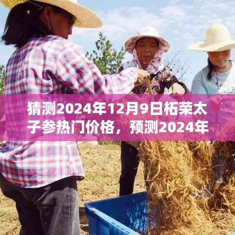 猜测2024年12月9日柘荣太子参热门价格,预测2024年柘荣太子参热门价格趋势,深度解析与前瞻