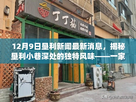 揭秘垦利小巷深处的独特风味,垦利新闻最新消息中的隐藏式特色小店故事