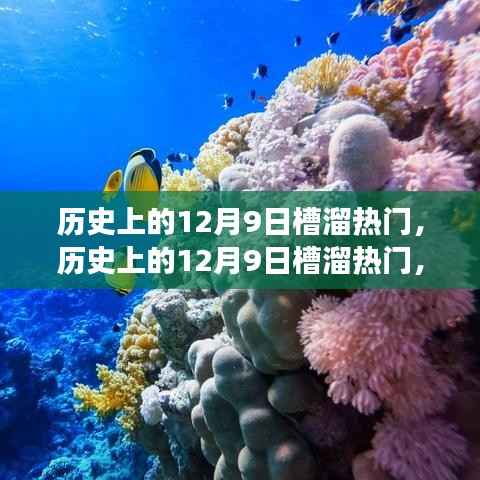 历史上的12月9日槽溜热门,历史上的12月9日槽溜热门,一场自然美景的探险之旅,寻找内心的平和与宁静