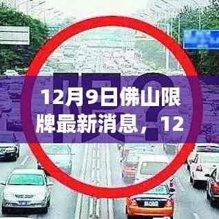 12月9日佛山限牌最新消息,影响与争议