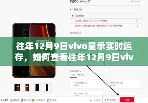 查看往年12月9日vivo手机实时运存状态指南,初学者与进阶用户必备教程
