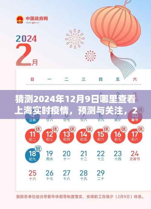 2024年12月9日上海实时疫情查询指南,预测与关注