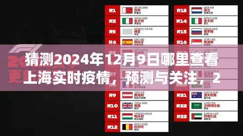 2024年12月9日上海实时疫情查询指南,预测与关注