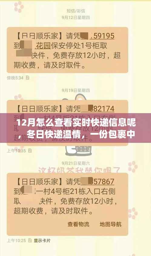 12月实时快递追踪,冬日包裹里的暖心故事