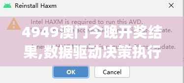 4949澳门今晚开奖结果,数据驱动决策执行_苹果款15.810