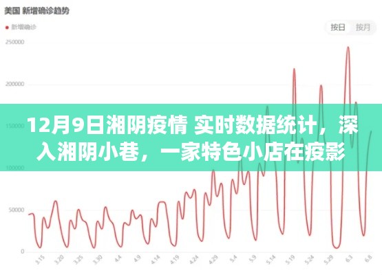 湘阴疫情实时观察,特色小店魅力与疫情数据深度解析
