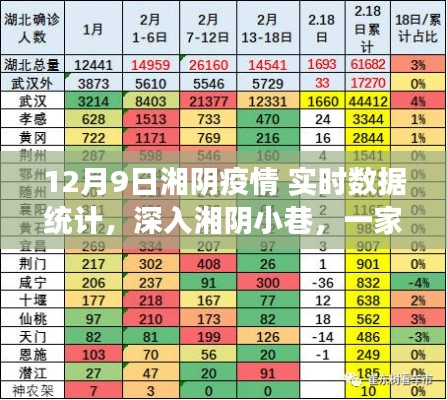 湘阴疫情实时观察,特色小店魅力与疫情数据深度解析