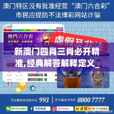 新澳门四肖三肖必开精准,经典解答解释定义_标准版2.490