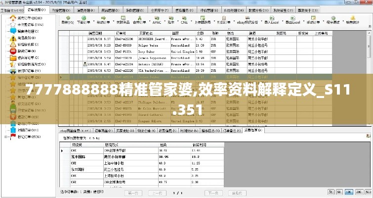 7777888888精准管家婆,效率资料解释定义_S11.351