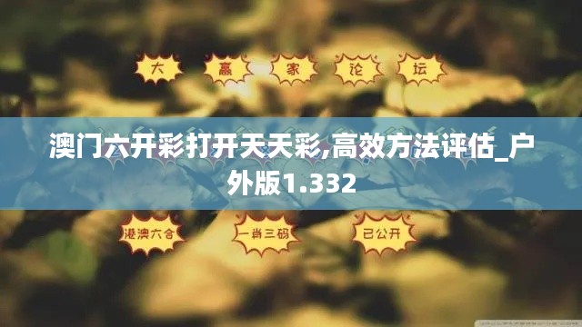 澳门六开彩打开天天彩,高效方法评估_户外版1.332