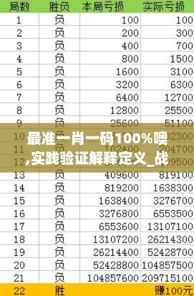 最准一肖一码100%噢,实践验证解释定义_战略版4.879