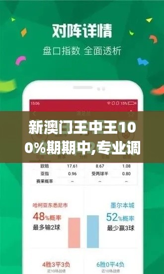 新澳门王中王100%期期中,专业调查解析说明_Tablet6.653