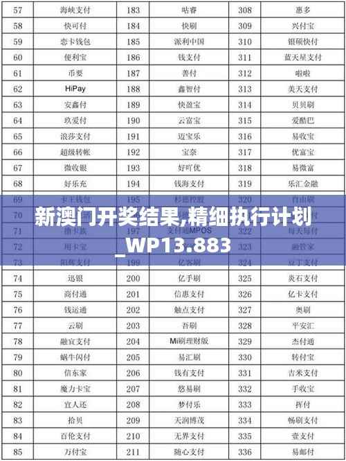 新澳门开奖结果,精细执行计划_WP13.883