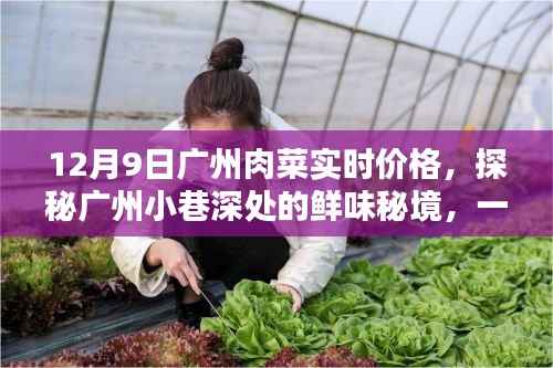 探秘广州小巷深处的鲜味秘境,12月9日肉菜实时价格揭秘