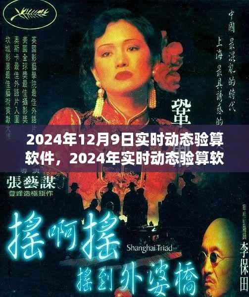 2024年实时动态验算软件使用指南,初学者与进阶用户必备