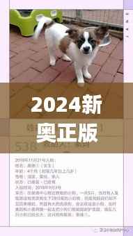 2024新奥正版资料四不像,实效设计计划_模拟版14.427