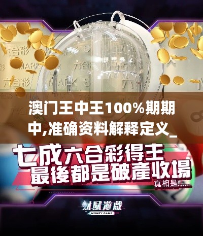 澳门王中王100%期期中,准确资料解释定义_专业款18.952