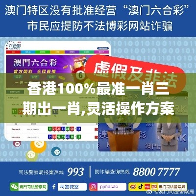 香港100%最准一肖三期出一肖,灵活操作方案设计_suite2.733