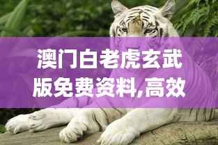 澳门白老虎玄武版免费资料,高效策略设计解析_Elite7.560