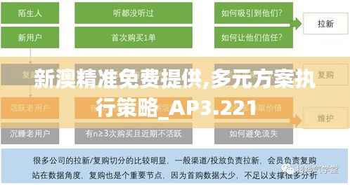 新澳精准免费提供,多元方案执行策略_AP3.221