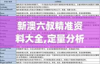 新澳六叔精准资料大全,定量分析解释定义_XE版10.146