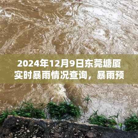 东莞塘厦暴雨预警!实时天气查询及应对暴雨情况的详细指南(初学者与进阶用户必备)