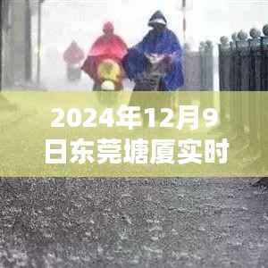 东莞塘厦暴雨预警!实时天气查询及应对暴雨情况的详细指南(初学者与进阶用户必备)
