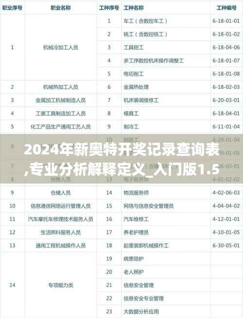 2024年新奥特开奖记录查询表,专业分析解释定义_入门版1.504