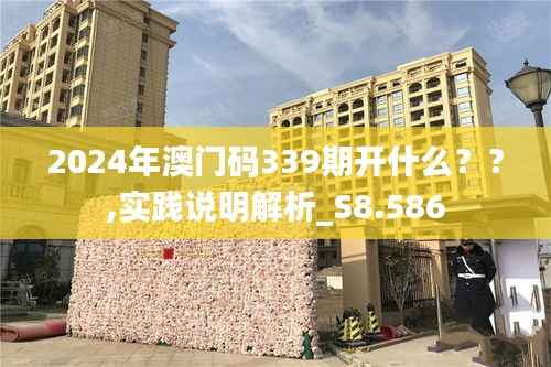 2024年澳门码339期开什么??,实践说明解析_S8.586