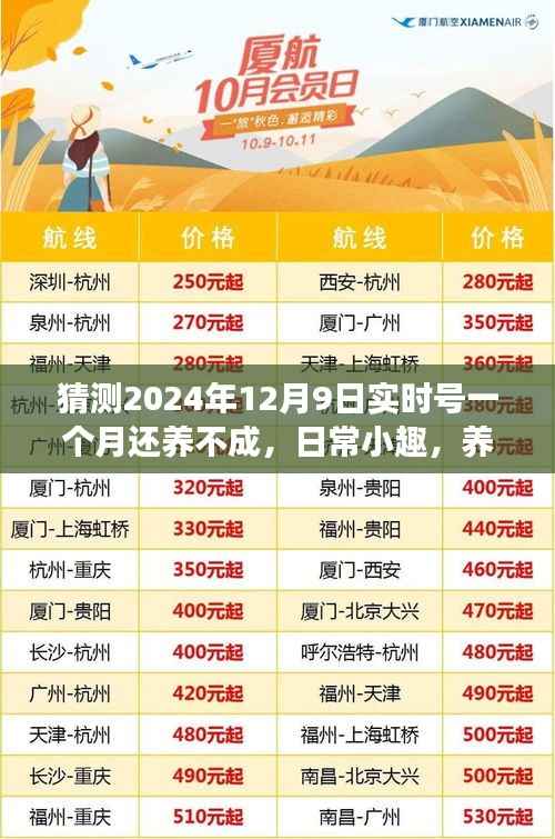 日常小趣,养号路上的波折与成长——实时号一个月养成之路的猜测与挑战(2024年12月9日)