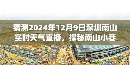 建议,探秘南山小巷,深圳南山实时天气直播之旅