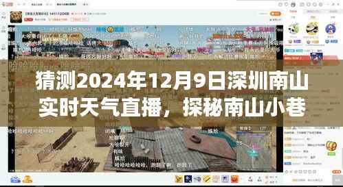 建议,探秘南山小巷,深圳南山实时天气直播之旅