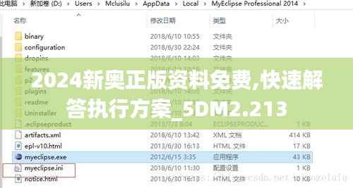 2024新奥正版资料免费,快速解答执行方案_5DM2.213