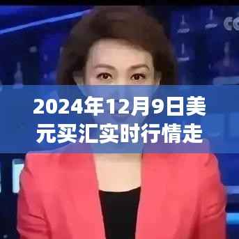 独家解析,2024年12月9日美元买汇行情深度解析与汇率风云影响