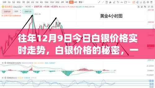 与自然美景相遇的心灵之旅,揭秘白银价格走势的秘密