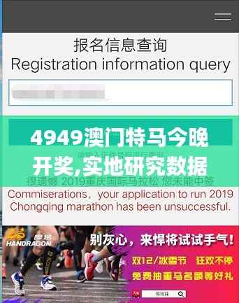 4949澳门特马今晚开奖,实地研究数据应用_免费版9.313